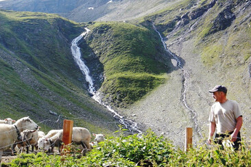 "Ein Leben in den Bergen" Referat von Michael Flepp in Lumbrein (gdl_905920575_image)