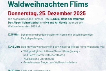 Forest Christmas December 25, 2024 (gdl_906021050_image)