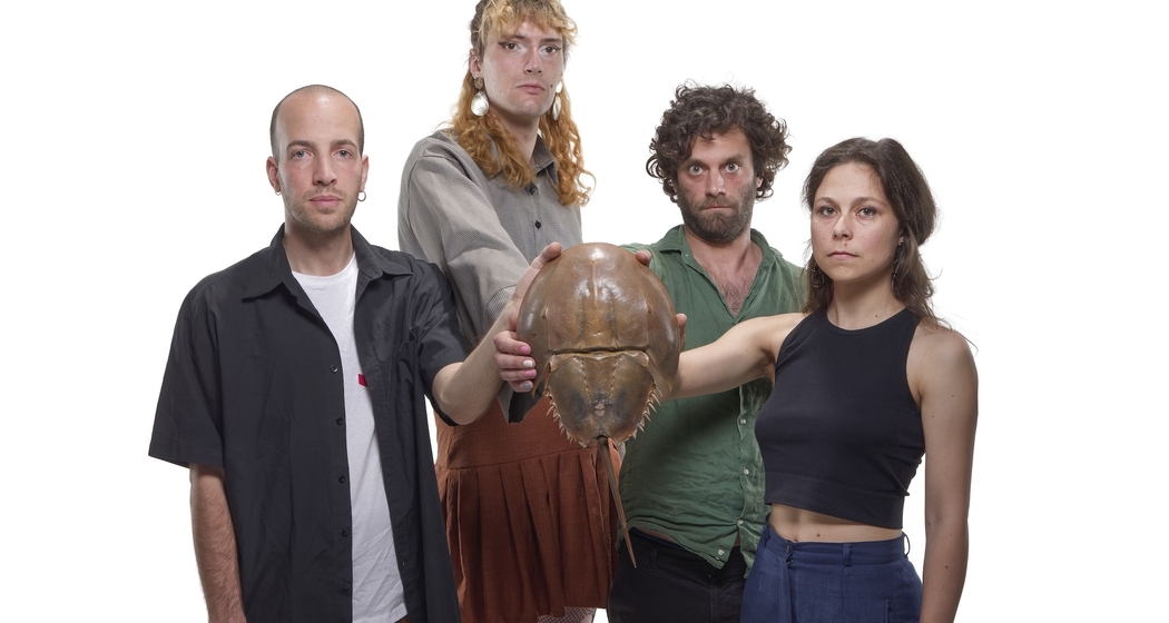 Killer Whales Music Theory (Koop. mit Suisse Diagonales Jazz) (gdl_906467786_image)