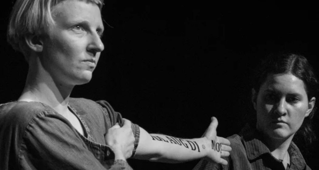 Cinema Tribuna: "Archiv von Asa Hendry" in Ilanz (gdl_906608907_image)