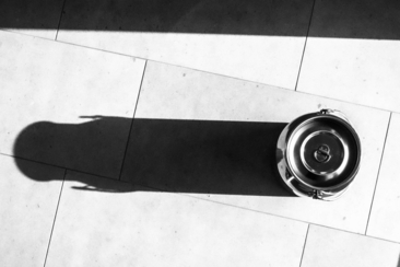 Eintauchen mit Seraina in ihre Welt des Schweizer Käses in Versam-Arezen (gdl_906620142_image)