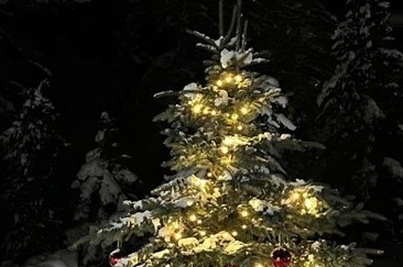 Bös-chin da scoula Guarda/Ardez (gdl_906626693_image)