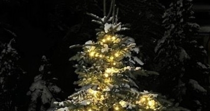 Bös-chin da scoula Guarda/Ardez (gdl_906626693_image)