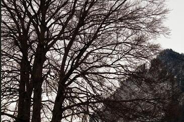 «Mordslandschaften. Der Krimi in Graubünden» (gdl_906828061_image)