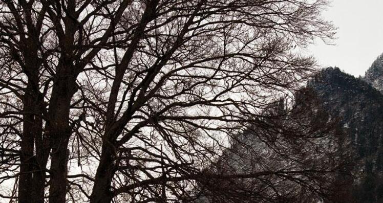 «Mordslandschaften. Der Krimi in Graubünden» (gdl_906828061_image)