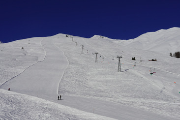 Barrel stave ski race (gdl_907160392_image)