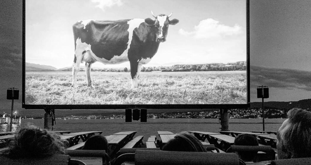 Ski Alpin - Public Viewing auf der W.O.W. Plaza (gdl_907814580_image)