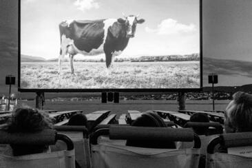 Spengler Cup - Public Viewing auf der W.O.W. Plaza (gdl_907814588_image)