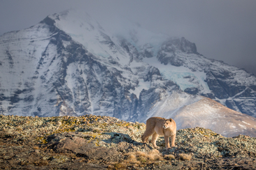 Patagonien - Explora Live Show (gdl_907947699_image)