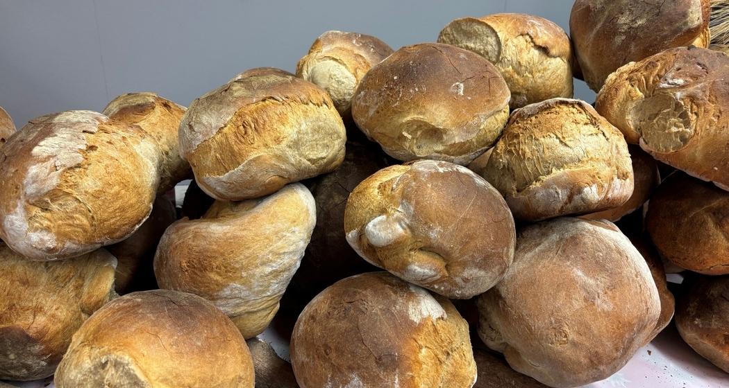 Puramarkt in Obersaxen Mundaun (gdl_907951042_image)