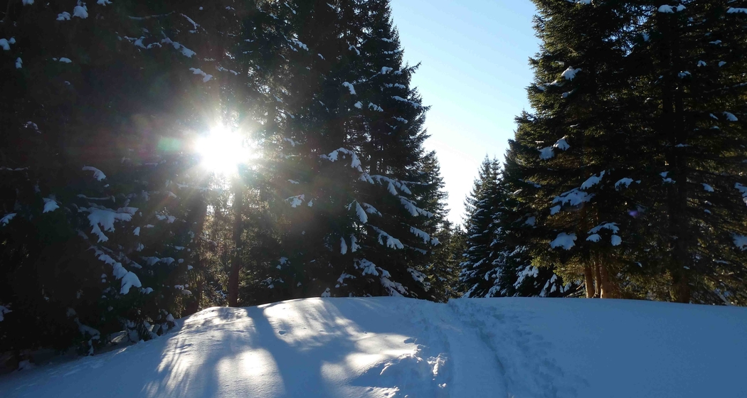 Schneeschuhwanderung: Panoramaweg Dreibündenstein - Feldis (gdl_907960952_image)