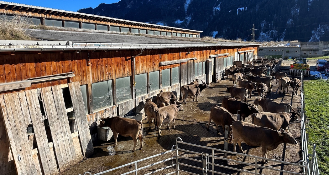 Vortrag über 175 Jahre Bündner Bauernverband (gdl_908120739_image)