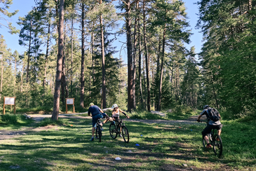 Weihnachts Bike-Schnuppertraining (gdl_908120742_image)