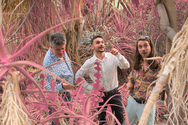 Giardini Incantati: Kuitzip (gdl_908124051_image)