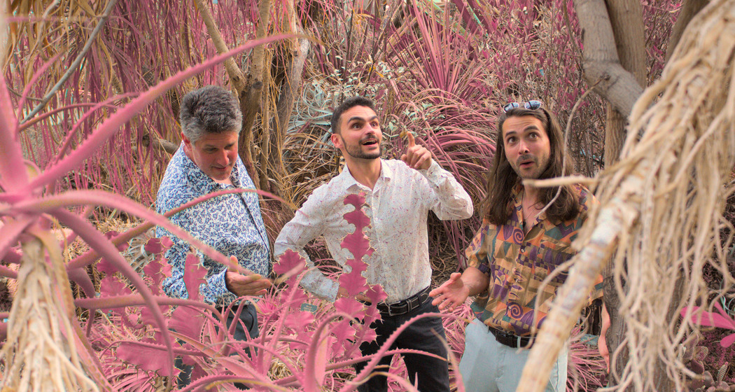 Giardini Incantati: Kuitzip (gdl_908124051_image)