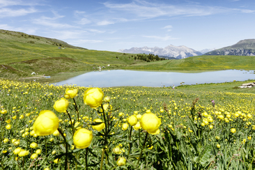 Jahreskonzert "da muntognas a valadas / vo Berg und Tal" (gdl_908273853_image)