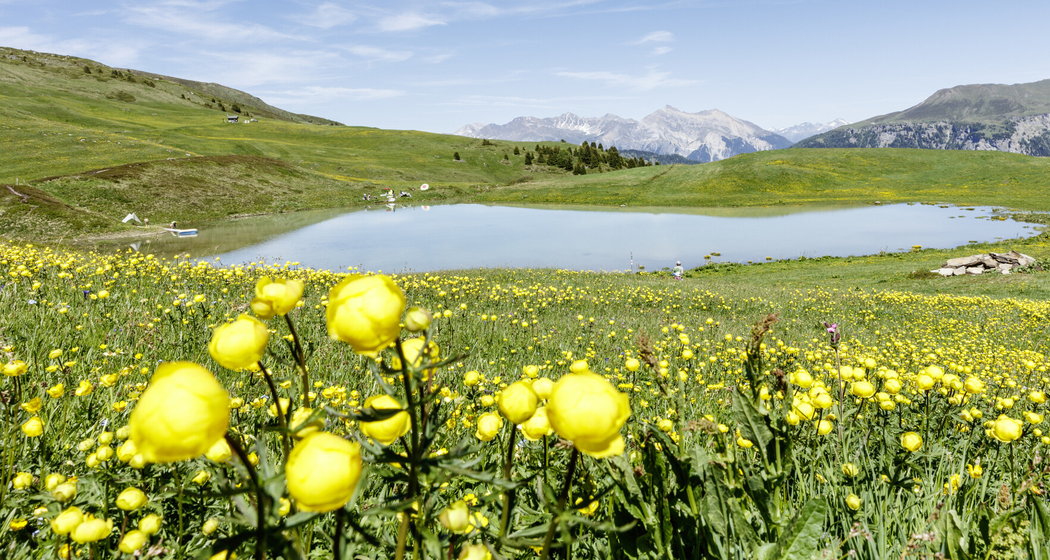 Jahreskonzert "da muntognas a valadas / vo Berg und Tal" (gdl_908273853_image)