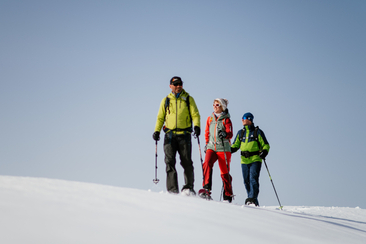 Geführte Schneeschuhwanderung in Waltensburg (gdl_908711244_image)