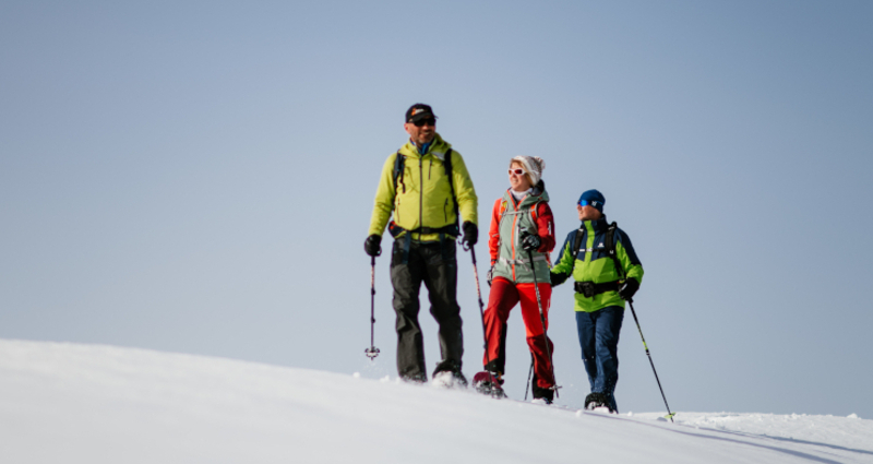 Geführte Schneeschuhwanderung in Waltensburg (gdl_908711244_image)