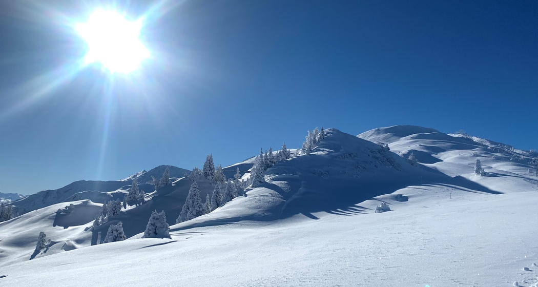 Raclette & Glühwein in der Bergbaiz (gdl_908753996_image)