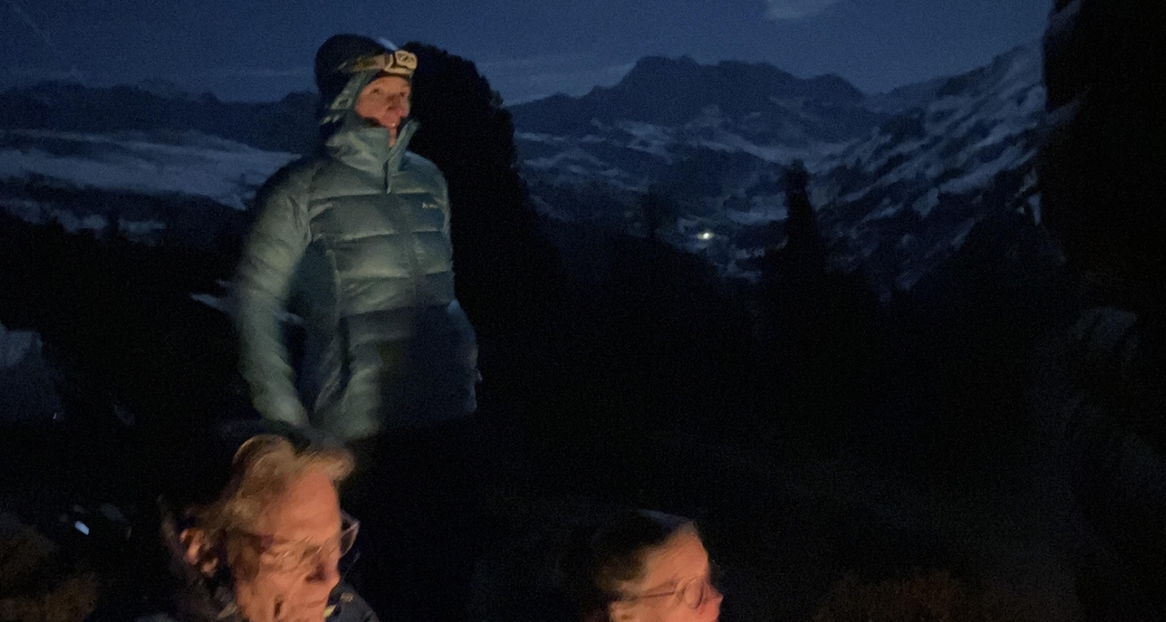 geführte Schneeschuhtour: Vollmondwanderung mit Geo-Znacht (gdl_908931175_image)