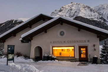 Erika Saratz: Cross-sections (gdl_909117172_image)