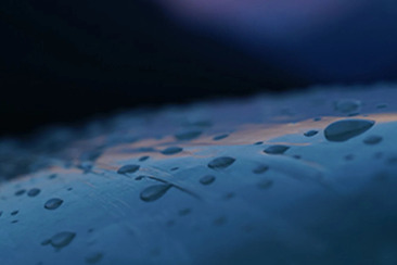 Eröffnung Kunstwege 2026 / Avertüra Vias d'art 2026 (gdl_909431581_image)