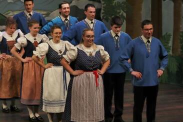 Heimatabend 2026 Trachtengruppe Mels - SAMSTAG (gdl_910170570_image)