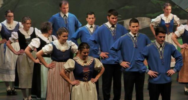 Heimatabend 2026 Trachtengruppe Mels - SAMSTAG (gdl_910170570_image)