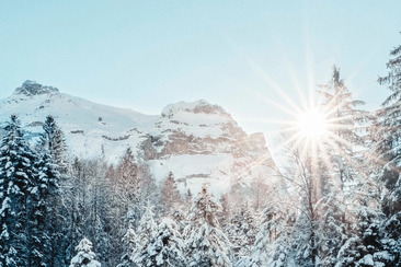 Fondue & Nachtschlitteln Alp Es-cha (gdl_910236201_image)