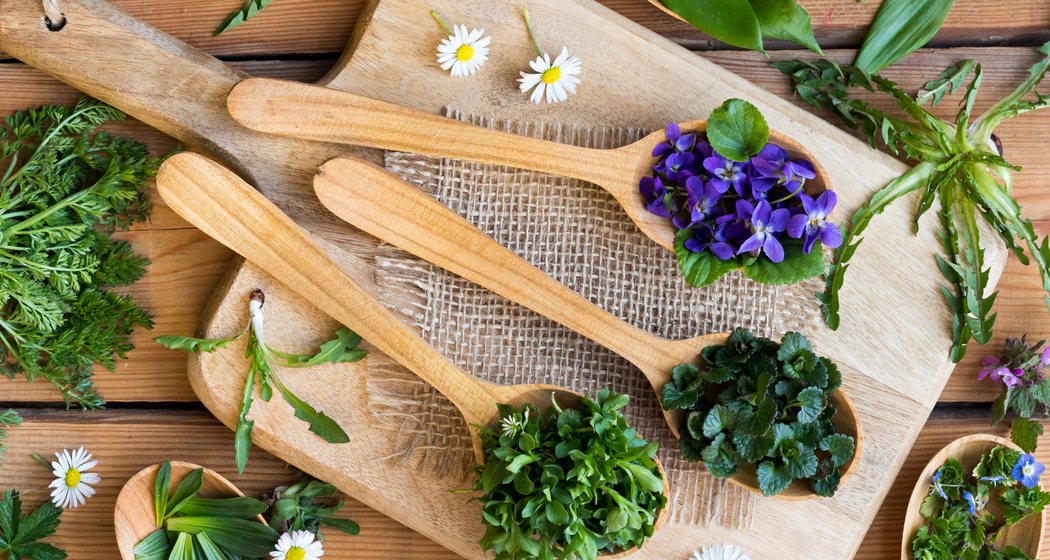 Kräuterwanderung/Workshop: Wildkräuter durchs Jahr - Frühlingserwachen (gdl_910528452_image)