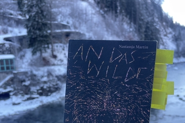 Talkie Walkie #2: An das Wilde glauben (gdl_910649902_image)