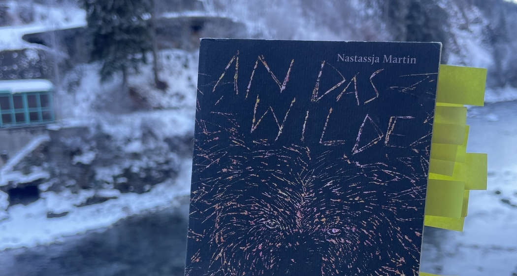 Talkie Walkie #2: An das Wilde glauben (gdl_910649902_image)