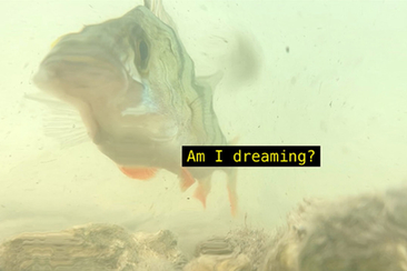 Führung für unsere Mitglieder - Amis da Nairs (gdl_910649904_image)