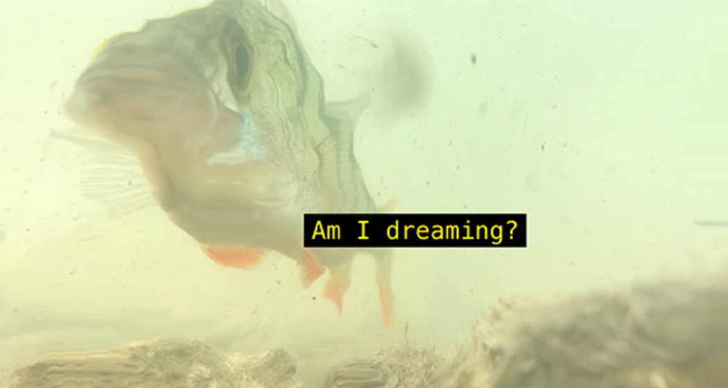 Führung für unsere Mitglieder - Amis da Nairs (gdl_910649904_image)