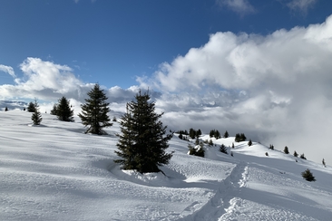 Schneeschuhtage ab Ilanz (gdl_910824160_image)