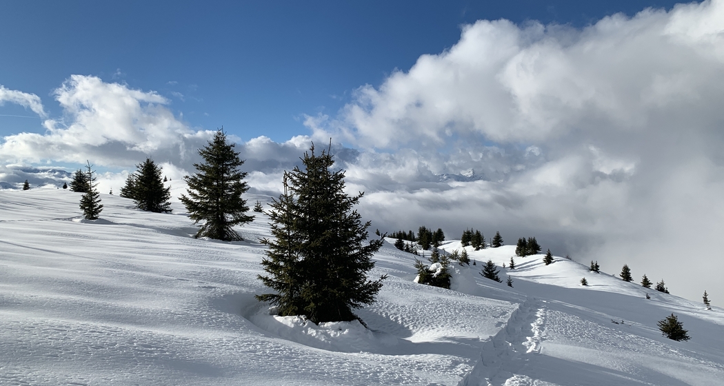 Schneeschuhtage ab Ilanz (gdl_910824160_image)