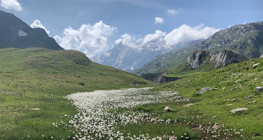 Während drei Tagen die Greina entdecken (gdl_910827442_image)