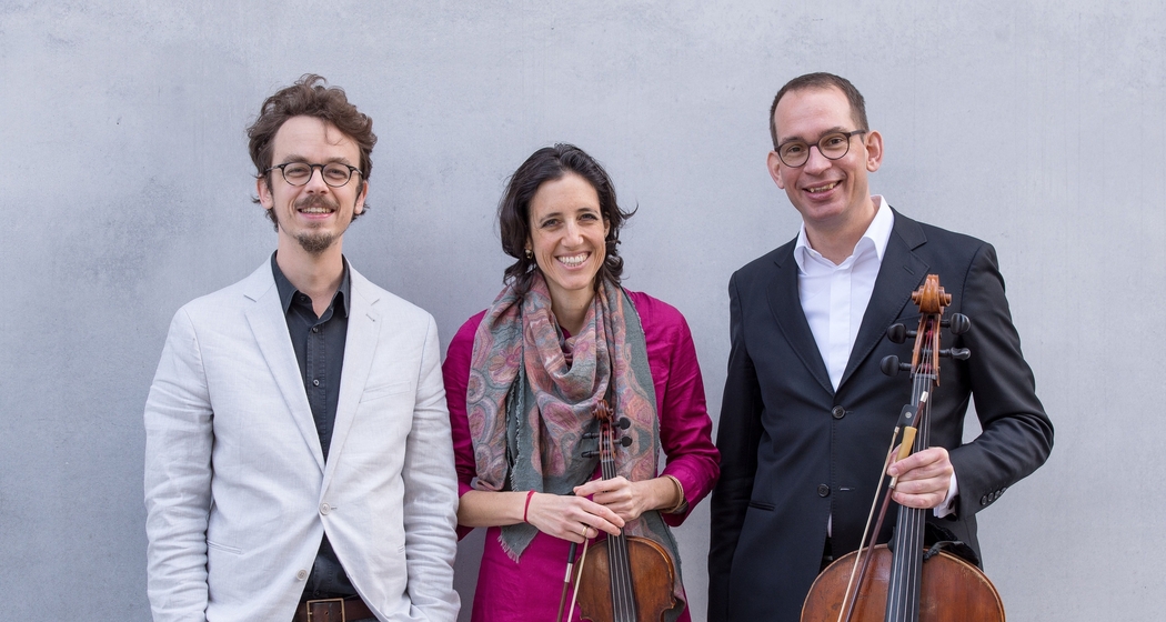 Konzert mit dem trioTRAIS (gdl_911055837_image)