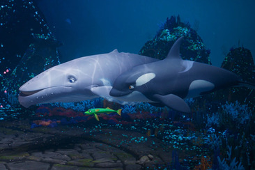 Der letzte Walsänger (gdl_911121510_image)