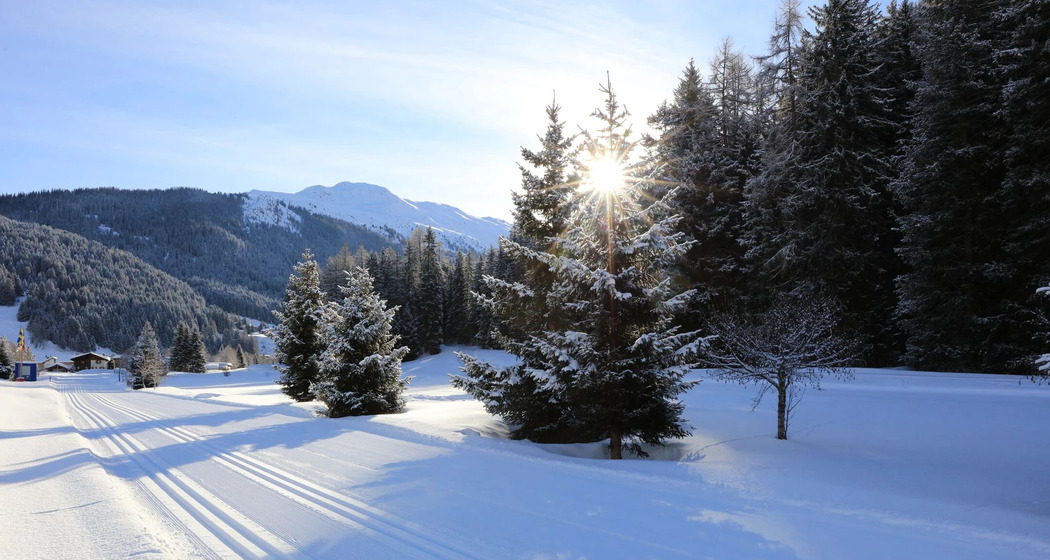 Nachtloipen-Cup Davos (gdl_911121541_image)