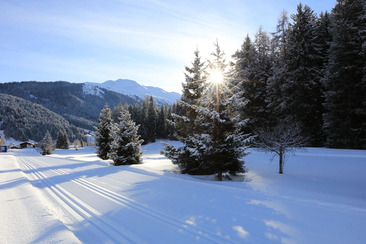 Nachtloipen-Cup Klosters (gdl_911121558_image)
