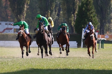 Internationale Pferderennen Maienfeld (gdl_911131622_image)