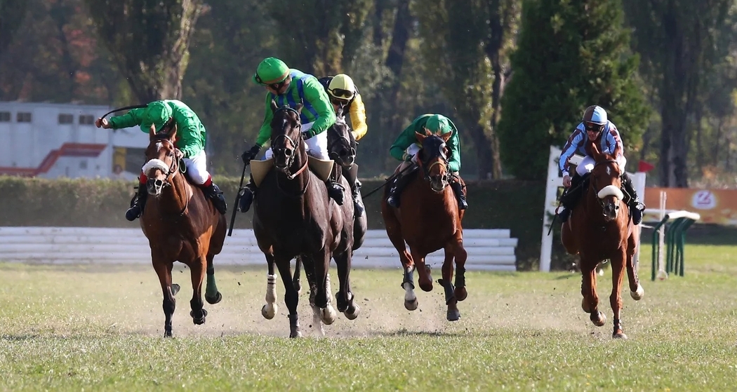 Internationale Pferderennen Maienfeld (gdl_911131622_image)