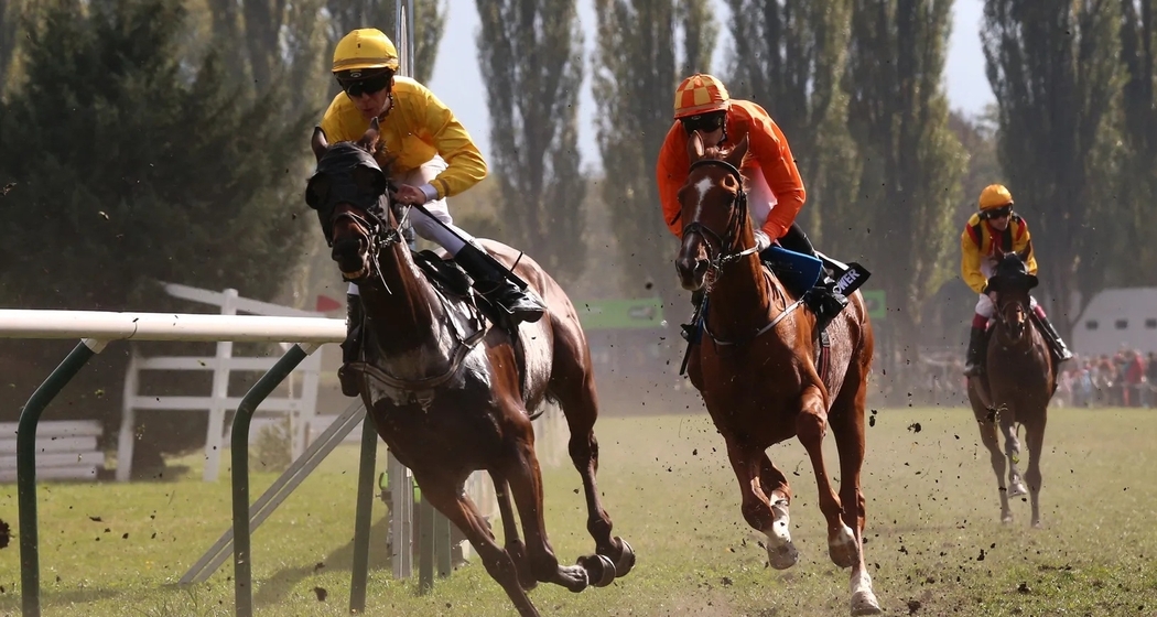 Internationale Pferderennen Maienfeld (gdl_911131624_image)