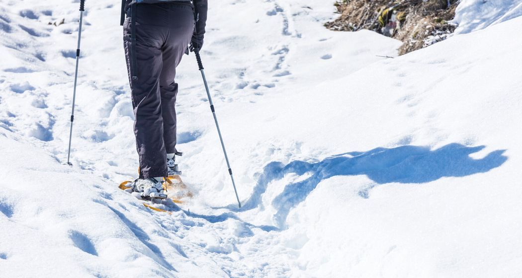Schneeschuhtour zum Muttnerhorn (gdl_911182619_image)