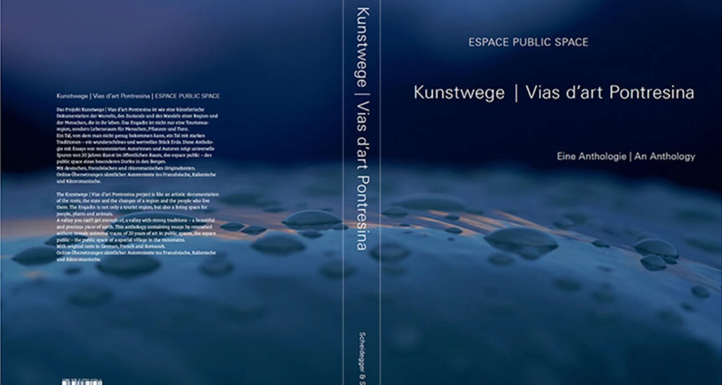 Endlich das Buch / Finelmaing il cudesch (gdl_911362066_image)