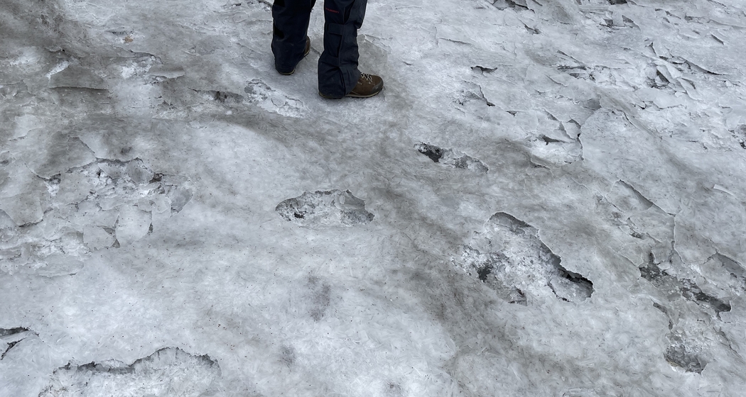 TERRA NOVA - Auf den Spuren der grossen Entdecker des Südpols. (gdl_912146735_image)