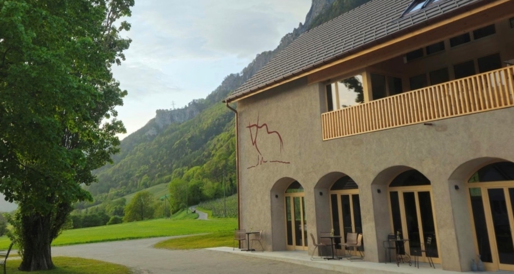 Wein & Kulinarik mit Künstlerin Carmela Inauen (gdl_912436132_image)