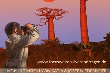 Madagaskar – Alles auf Anfang (gdl_912449263_image)